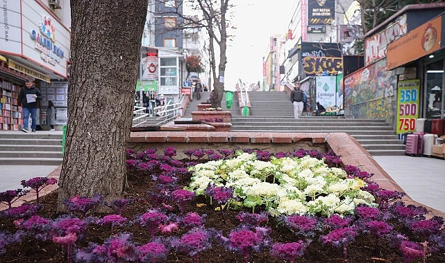 Çansera’dan Kent Merkezine Kış Renkleri 1 canseradan kent merkezine kis renkleri