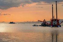 deniz temizleniyor ekosistem gucleniyor