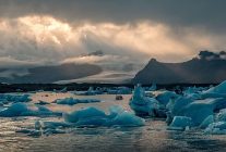dr tuncez iklim degisikligi ile mucadelede gelecegimiz icin bugunden harekete gecmeliyiz