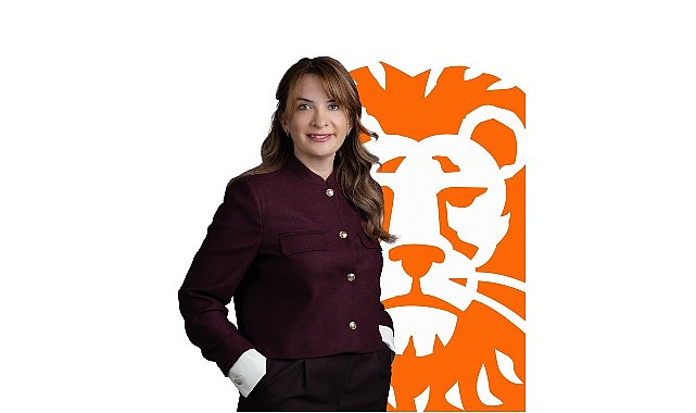 ezgi demirdag saydag ing turkiye operasyon genel mudur yardimcisi ve icra kurulu uyesi olarak atandi