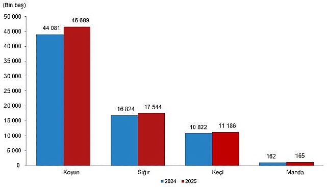 hayvansal uretim istatistikleri 2025