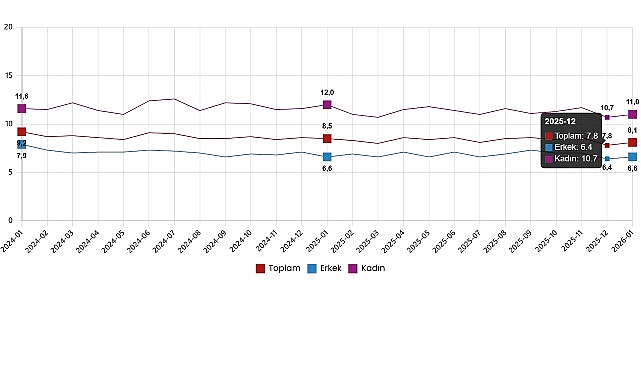 isgucu istatistikleri ocak 2026
