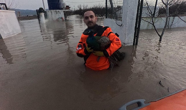 izmir itfaiyesi sessiz canlar icin zamanla yaristi