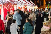 kalpler balcovada bulustu