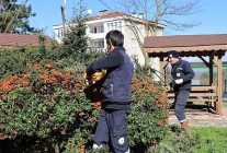 kartepede cevre duzenlemesi