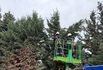 kartepede yesil alanlara duzenli bakim