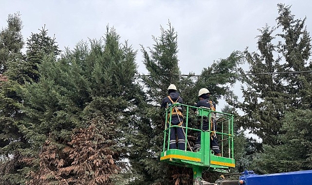 Kartepe’de Yeşil Alanlara Düzenli Bakım 1 kartepede yesil alanlara duzenli bakim