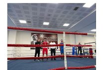 kemer belediye kick boks ve boks sporcularindan buyuk basari