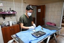 kemer belediyesi can dostlarina sahip cikiyor