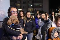 niluferde caz ruzgari esiyor