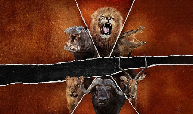 ‘Ölümcül Safari: Büyük Kedilerin Savaşı’, 15 Şubat Pazar Saat 20.00’de National Geographic WILD Ekranlarında! 1 olumcul safari buyuk kedilerin savasi 15 subat pazar saat 20 00de national geographic wild ekranlarinda