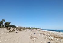 sahillerde temizlik calismasi