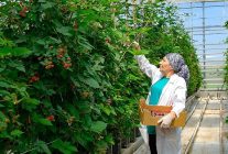 seralarda sel felaketine elara tarimdan direncli cozum