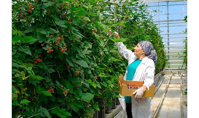 seralarda sel felaketine elara tarimdan direncli cozum