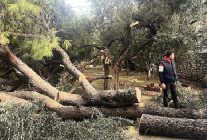 siddetli firtina nedeniyle yasanan olumsuz durumlara milas belediyesi aninda mudahale etti