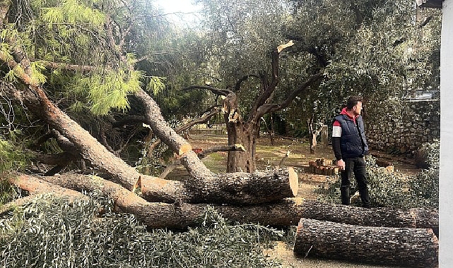 siddetli firtina nedeniyle yasanan olumsuz durumlara milas belediyesi aninda mudahale etti