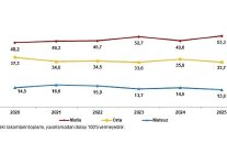 yasam memnuniyeti arastirmasi 2025