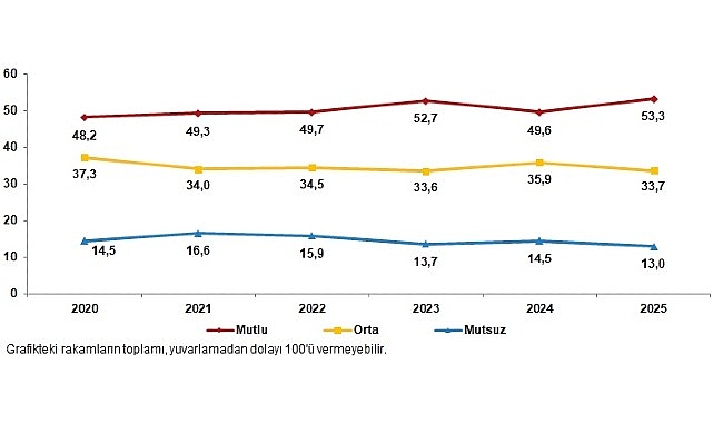 yasam memnuniyeti arastirmasi 2025