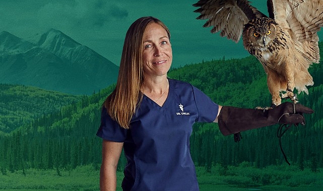 ‘Yukon Veterineri’ne Saygı Özel’, 25 Şubat Çarşamba Saat 20.00’de National Geographic WILD Ekranlarında! 1 yukon veterinerine saygi ozel 25 subat carsamba saat 20 00de national geographic wild ekranlarinda