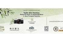 zeytinin hikayesi fotografla anlatiliyor yesilin altin damlasi 2 basladi