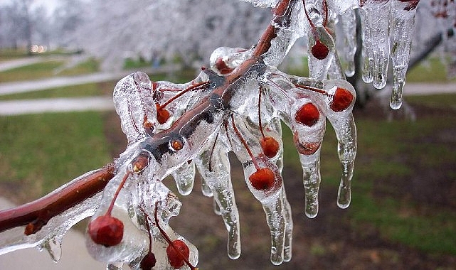 Zirai Don İçin Riskli Dönem Yaklaşıyor 1 zirai don icin riskli donem yaklasiyor