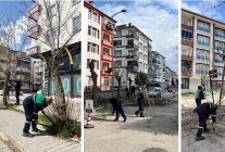 agac budama calismalari suruyor