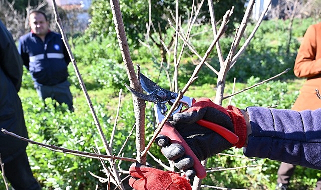 atasemde uygulamali agac budama egitimi