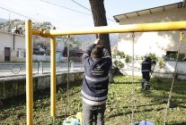 baskan cercioglundan kocarliya yesil dokunus calismalar devam ediyor