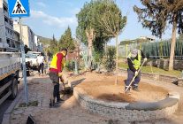 baskan cercioglunun calismalari ile efeler ramazan bayramina hazirlaniyor