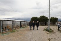 baskan ertastan sokak hayvanlarina iliskin aciklama