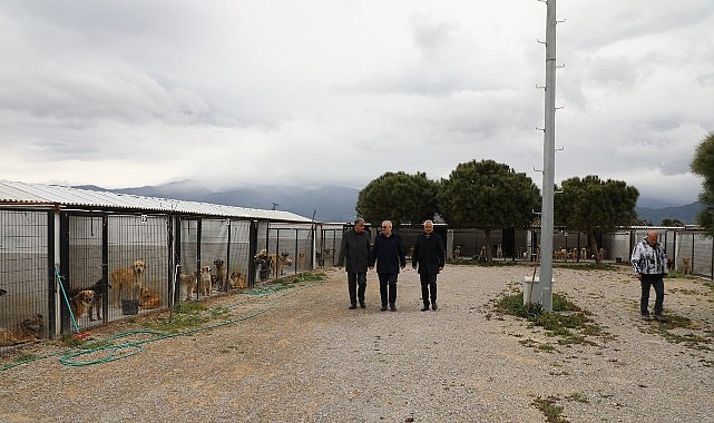 baskan ertastan sokak hayvanlarina iliskin aciklama