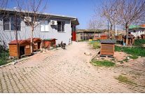 baskan yetiskin artik cope giden yemekler can dostlarimiz icin mamaya donusuyor