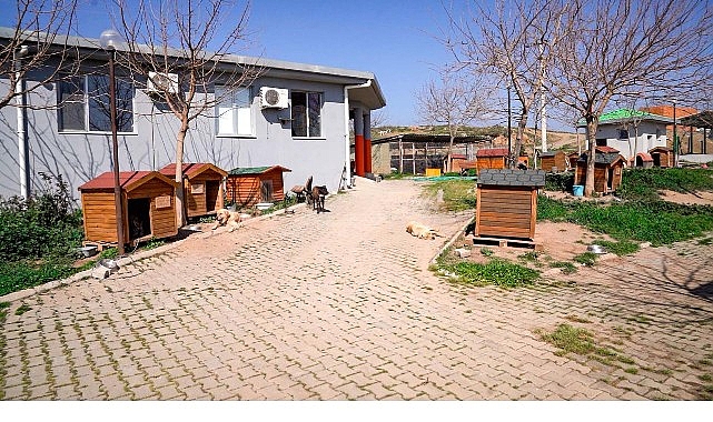 Başkan Yetişkin: “Artık çöpe giden yemekler can dostlarımız için mamaya dönüşüyor” 1 baskan yetiskin artik cope giden yemekler can dostlarimiz icin mamaya donusuyor