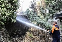 baskentin simgesi kuguluparkta buharli temizlik