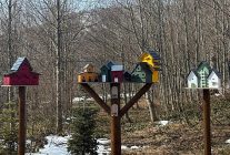 bayramda kapiniz dogaya acilsin