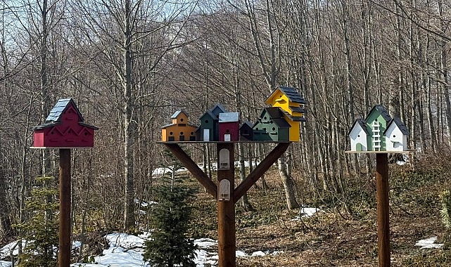 bayramda kapiniz dogaya acilsin