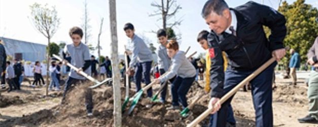 beton sokuldu umut filizlendi