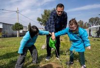 bornovanin en ozel fidanlari toprakla bulustu