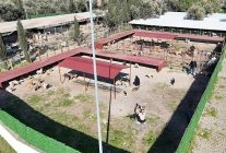 burhaniye belediyesi can dostlari sicak yuvalarla bulusturuyor