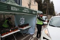 buyuksehir kabirler icin on binlerce cicek dagitti