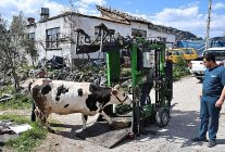 buyuksehirden gundogmuslu ureticilere tirnak bakim destegi