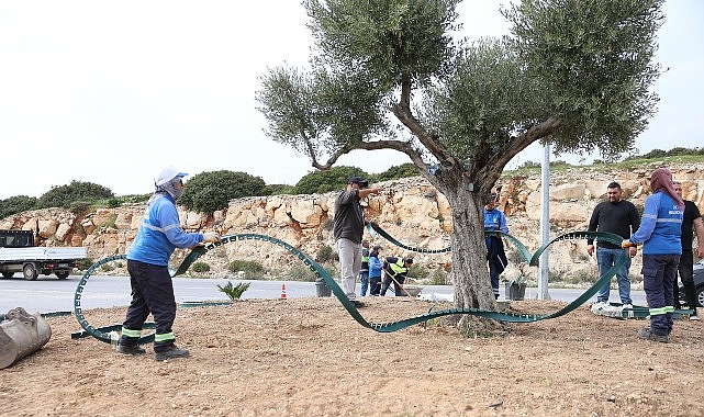 didim belediyesi didime cikan yollari daha da guzellestiriyor