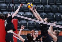 eczacibasi dynavit yari final ilk macina cikiyor
