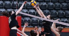 eczacibasi dynavit yari final ilk macina cikiyor