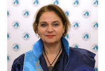 ergen beyni guclu motora sahip frensiz araba gibi