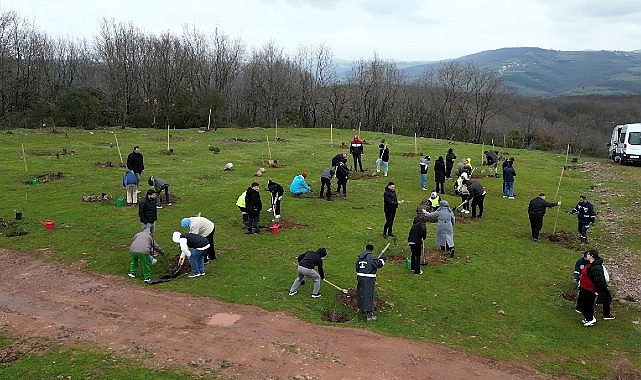 Fidanlar engelsiz hayat için dikildi 1 fidanlar engelsiz hayat icin dikildi
