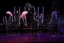 fillerve karincalar ile yasar kemale saygi durusu