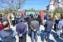 gordeste ureticinin yuzu guldu 73 bin domates fidesi toprakla bulusuyor