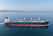 gsd holding denizcilik alaninda buyumeye devam ediyor