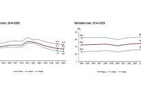 isgucu istatistikleri 2025